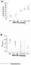 Fig. 69 - MAP kinase modulators and uses thereof