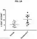 Fig. 02 - Ectonucleotidase inhibitors and methods of use thereof
