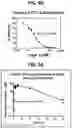 Fig. 09 - Ectonucleotidase inhibitors and methods of use thereof