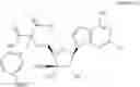 Fig. 131 - Ectonucleotidase inhibitors and methods of use thereof