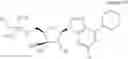Fig. 158 - Ectonucleotidase inhibitors and methods of use thereof