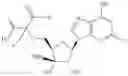 Fig. 293 - Ectonucleotidase inhibitors and methods of use thereof