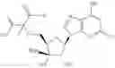 Fig. 294 - Ectonucleotidase inhibitors and methods of use thereof