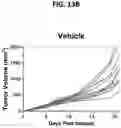 Fig. 35 - Ectonucleotidase inhibitors and methods of use thereof