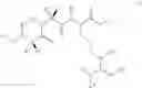 Fig. 159 - MALT1 inhibitors and uses thereof