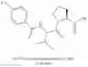 Fig. 294 - MALT1 inhibitors and uses thereof