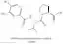 Fig. 304 - MALT1 inhibitors and uses thereof