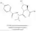 Fig. 332 - MALT1 inhibitors and uses thereof