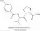Fig. 371 - MALT1 inhibitors and uses thereof