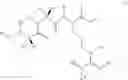 Fig. 464 - MALT1 inhibitors and uses thereof