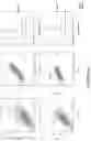 Fig. 07 - Bicyclic peptide ligands specific for Nectin-4