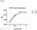 Fig. 02 - Compounds (immunorhelins)