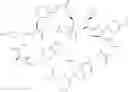 Fig. 158 - PCSK9 antagonist compounds