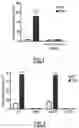 Fig. 02 - CD147 AS RECEPTOR FOR PILUS-MEDIATED ADHESION OF MENINGOCOCCI TO VASCULAR ENDOTHELIA