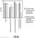 Fig. 08 - CD147 AS RECEPTOR FOR PILUS-MEDIATED ADHESION OF MENINGOCOCCI TO VASCULAR ENDOTHELIA