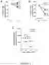 Fig. 02 - Immune-modulating compounds