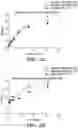 Fig. 06 - Microbe-binding molecules and uses thereof