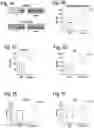 Fig. 02 - Methods for treating osteogenesis imperfecta