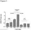 Fig. 04 - Methods to activate or block the HLA-E/Qa-1 restricted CD8+ T cell regulatory pathway to treat immunological disease