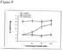 Fig. 09 - Methods to activate or block the HLA-E/Qa-1 restricted CD8+ T cell regulatory pathway to treat immunological disease