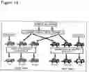 Fig. 15 - Methods to activate or block the HLA-E/Qa-1 restricted CD8+ T cell regulatory pathway to treat immunological disease