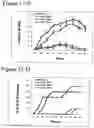 Fig. 17 - Methods to activate or block the HLA-E/Qa-1 restricted CD8+ T cell regulatory pathway to treat immunological disease