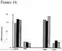 Fig. 18 - Methods to activate or block the HLA-E/Qa-1 restricted CD8+ T cell regulatory pathway to treat immunological disease