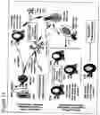 Fig. 22 - Methods to activate or block the HLA-E/Qa-1 restricted CD8+ T cell regulatory pathway to treat immunological disease