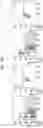 Fig. 07 - Monoclonal antibodies to human FLT3/FLK2 receptor protein