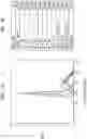 Fig. 09 - Monoclonal antibodies to human FLT3/FLK2 receptor protein
