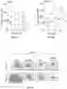 Fig. 09 - METHOD OF TREATING AND DIAGNOSING ALPHA-V-BETA-6 OVEREXPRESSING CANCER