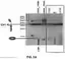 Fig. 06 - MODIFIED CK AND CH1 DOMAINS