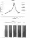 Fig. 02 - Air void control composition for carbonyl-containing monomer polymerization