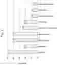 Fig. 02 - Method for fracturing a subterranean geological formation with an emulsified acid