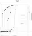 Fig. 07 - Method for fracturing a subterranean geological formation with an emulsified acid