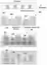 Fig. 01 - Highly efficient organoid culture device and system