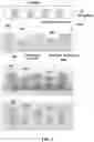 Fig. 02 - Highly efficient organoid culture device and system