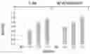 Fig. 01 - Method for producing Wnt protein and method for storing Wnt protein