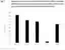 Fig. 02 - CULTURE MEDIUM COMPRISING OLIGOPEPTIDES