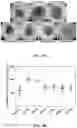 Fig. 06 - COMPOSITION FOR CULTURING BRAIN ORGANOID BASED ON DECELLULARIZED BRAIN MATRIX AND METHOD FOR PREPARING SAME
