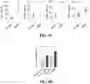 Fig. 08 - COMPOSITION FOR CULTURING BRAIN ORGANOID BASED ON DECELLULARIZED BRAIN MATRIX AND METHOD FOR PREPARING SAME