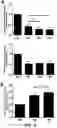 Fig. 07 - Method for producing cartilage cells induced to be differentiated from stem cells