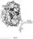 Fig. 07 - Recombinant polymerases with increased phototolerance