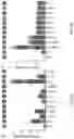 Fig. 04 - Gene construct encoding mutant thioesterase, mutant thioesterase encoded thereby, transformed host cell containing the gene construct, and method of using them to produce medium-chain fatty acids