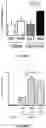 Fig. 02 - Acid-alpha glucosidase variants and uses thereof