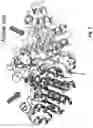 Fig. 02 - CONSTRUCTING ENZYME-BASED SENSORS