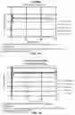 Fig. 09 - Methods and compositions for rapid nucleic acid library preparation