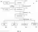 Fig. 22 - Methods and compositions for rapid nucleic acid library preparation