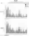 Fig. 09 - Methods and compositions for the specific inhibition of alpha-1 antitrypsin by double-stranded RNA