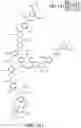 Fig. 02 - P-coumaroyl-CoA:monolignol transferase
